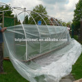 Single Layer and Solar Agricultural Greenhouses Type clear plastic film for greenhouse